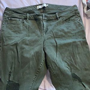 Torrid jeans